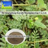 Tribulus Terrestris Extract