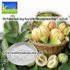 Garcinia Combogia Extract