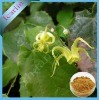 Epimedium P.E.