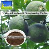 Citrus Aurantium Extract(Synephrine )