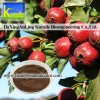 Hawthorn Leaf Extract