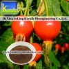 Rose Hip Extract