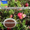 Cranberry Extract (Anthocyanin;Oligomeric Proantho Cyanidins)