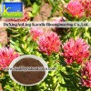 Rhodiola Rosea Extract(Rosavin 1%-5%, Salidrosides 1%-5%)