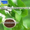 Ginkgo Biloba Leaf Extract(Ginkgolide,Flavone)