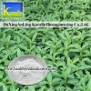 Stevia Extract (Stevioside; RebaudiosideA)