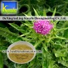 Milk Thistle Extract (Silymarin,Silybin)