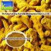 Curcumin 95%(Turmeric Color)