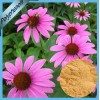 Echinacea Herb P.E.