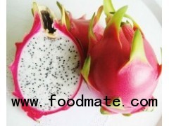 Vietnamese Dragon fruit