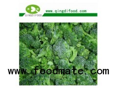 IQF BROCCOLI FLORETS