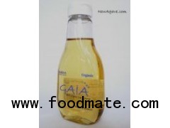 Sell Organic Agave Nectar Kosher, BioAgricert And FDA Certified