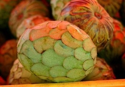 Cherimoya