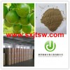 fructus momordicae extract luohanguo