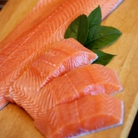 salmon