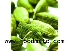 Cardamom