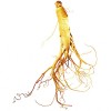 Ginseng Root Extract