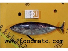 Sell bonito bullet tuna