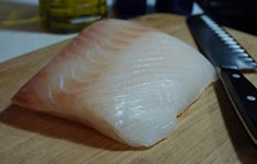 halibut