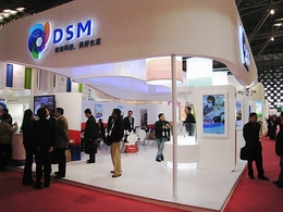 DSM