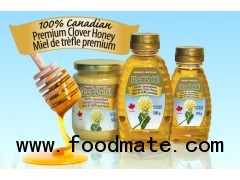 Premium Clover Honey