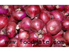 Red onion