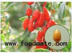 Organic Spray Dried Goji Powder