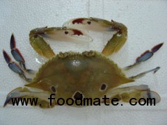 Three Spot Crab