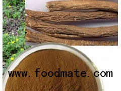 natural acanthopanax root Extract Eleutheroside B+E 0.8% HPLC