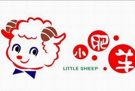 Little sheep