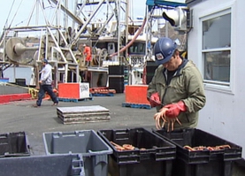 Newfoundland fishery 