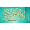 Frozen boiled yellow clam meat, Paphia undulata