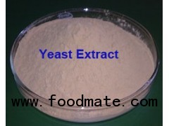 Baker's Yeast Extract as MSG/HVP Replacer