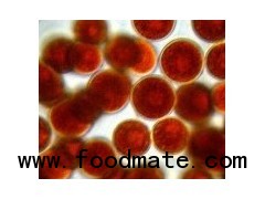 Astaxanthin by fermentation