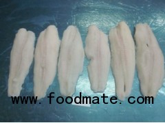 Pangasius Fillet Broken