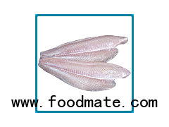 PANGASIUS FILLET WELL TRIMMED