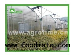 poly film greenhouse for agriculture in China