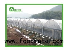 Commercial Greenhouse for agriculture