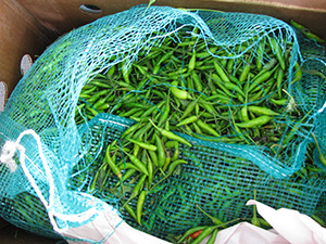 Thai Peppers