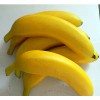 fake foam banana for decoration