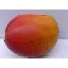 artificial fruit green&yellow mango for decoration