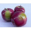 artificial fruit red&green apple for decoration