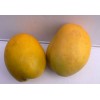 artificial fruit mango for decoration