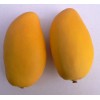 artificial fruit yellow mango for decoration