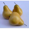 artificial fruit yellow pear for decoration