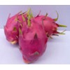 artificial fruit pitaya for decoration