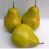 artificial fruit big green pear for decoration