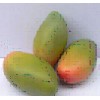 artificial fruit green mango for decoration