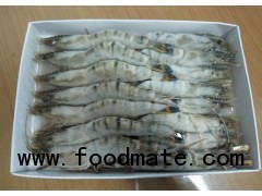 Black tiger prawn