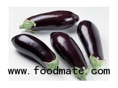 Aubergine